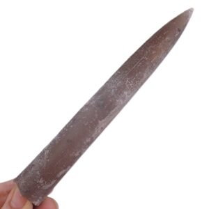 Cylindroteuthis puzosiana