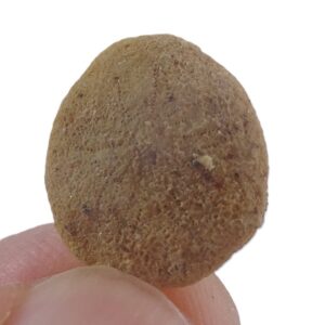 Vaquerosella andersoni