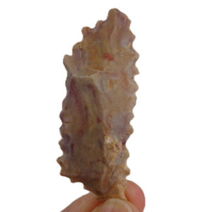 Denticulado
