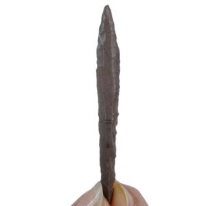 Perforador