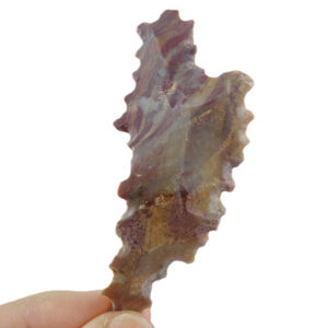 Denticulado