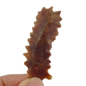 Denticulado
