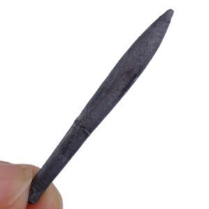 Hastites (Subhastites) microstylus