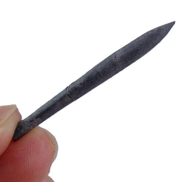 Hastites (Subhastites) microstylus