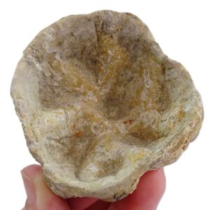 ベックシア・ソケランディ 売却済み