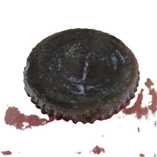 Palaeocyclus porpita VENDIDO - Imagen 2