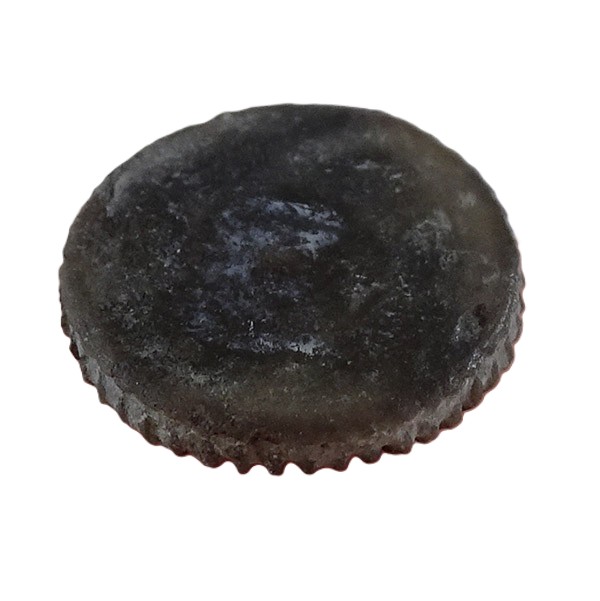 Palaeocyclus porpita VENDIDO - Imagen 2