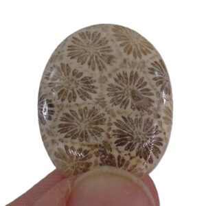 Cabujón de coral