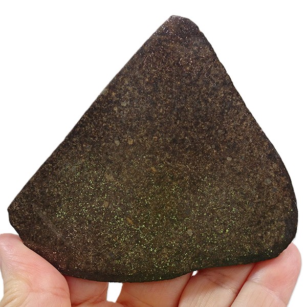 NWA Ordinary Chondrite