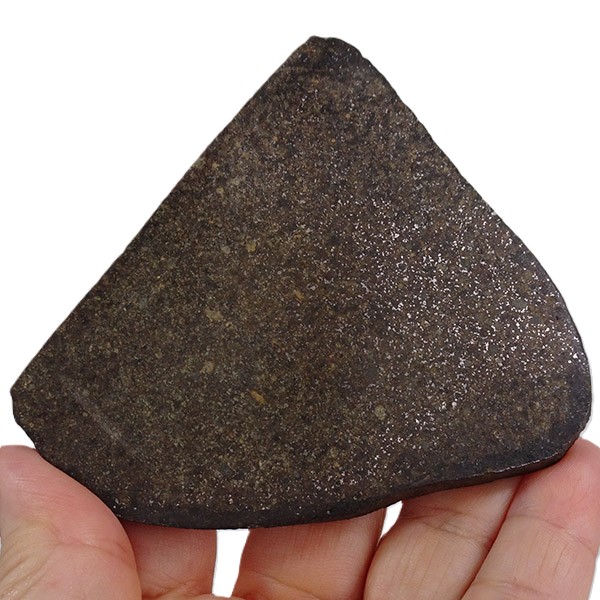 Condrita Ordinaria NWA - Image 4