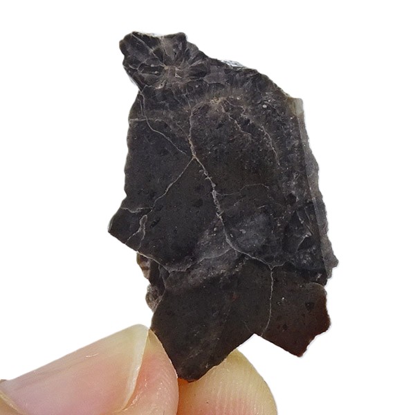 Meteorito Lunar: Adrar 013