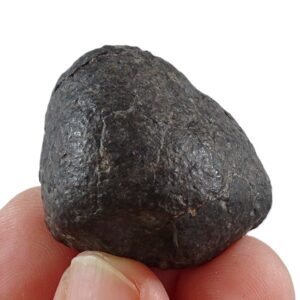 NWA Ordinary Chondrite