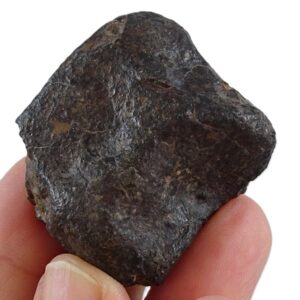 NWA Ordinary Chondrite