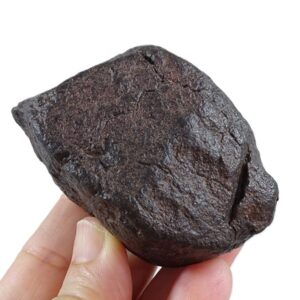 NWA Ordinary Chondrite