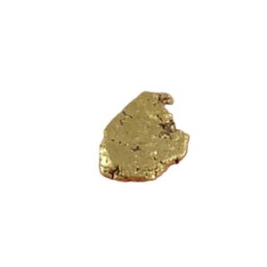 Pepita de oro