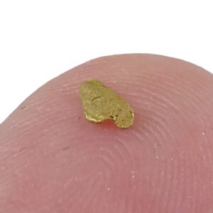 Pepita de oro